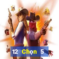 12 Chọn 5 Nhiệm kỳ Bốn