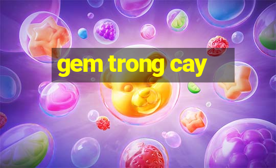 gem trong cay