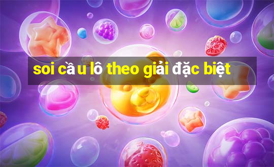 soi cầu lô theo giải đặc biệt