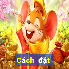 Cách đặt cược XSQT ngày 26