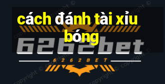 cách đánh tài xỉu bóng