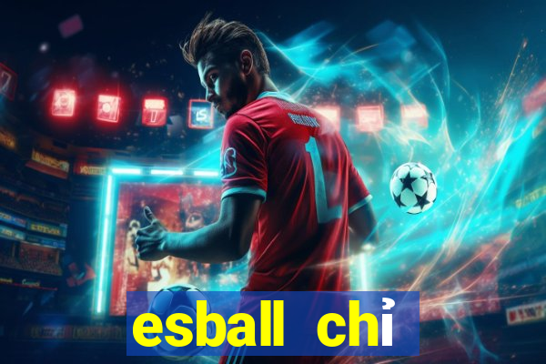 esball chỉ định đăng ký