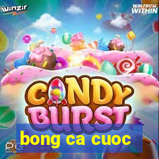 bong ca cuoc