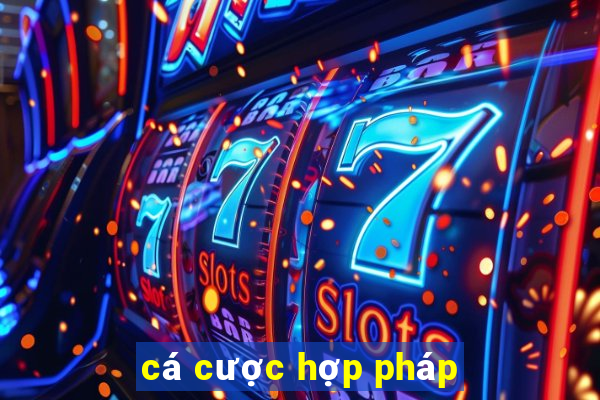 cá cược hợp pháp