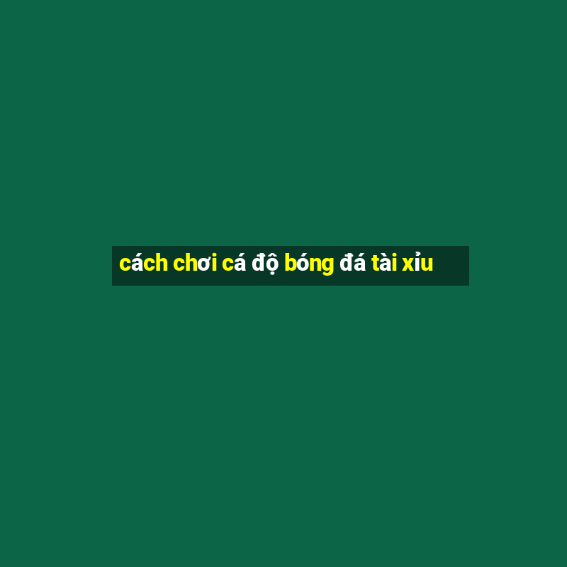 cách chơi cá độ bóng đá tài xỉu