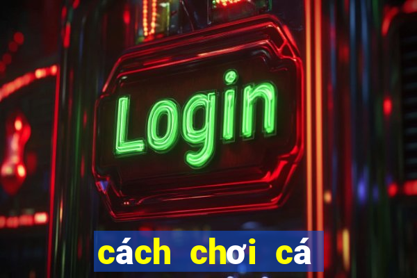 cách chơi cá độ bóng đá tài xỉu