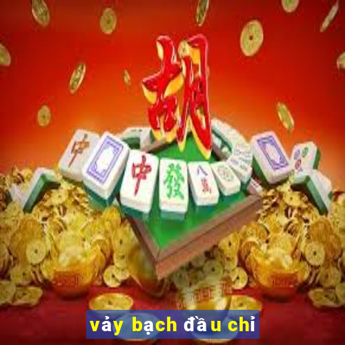 vảy bạch đầu chỉ