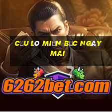 cầu lô miền bắc ngày mai