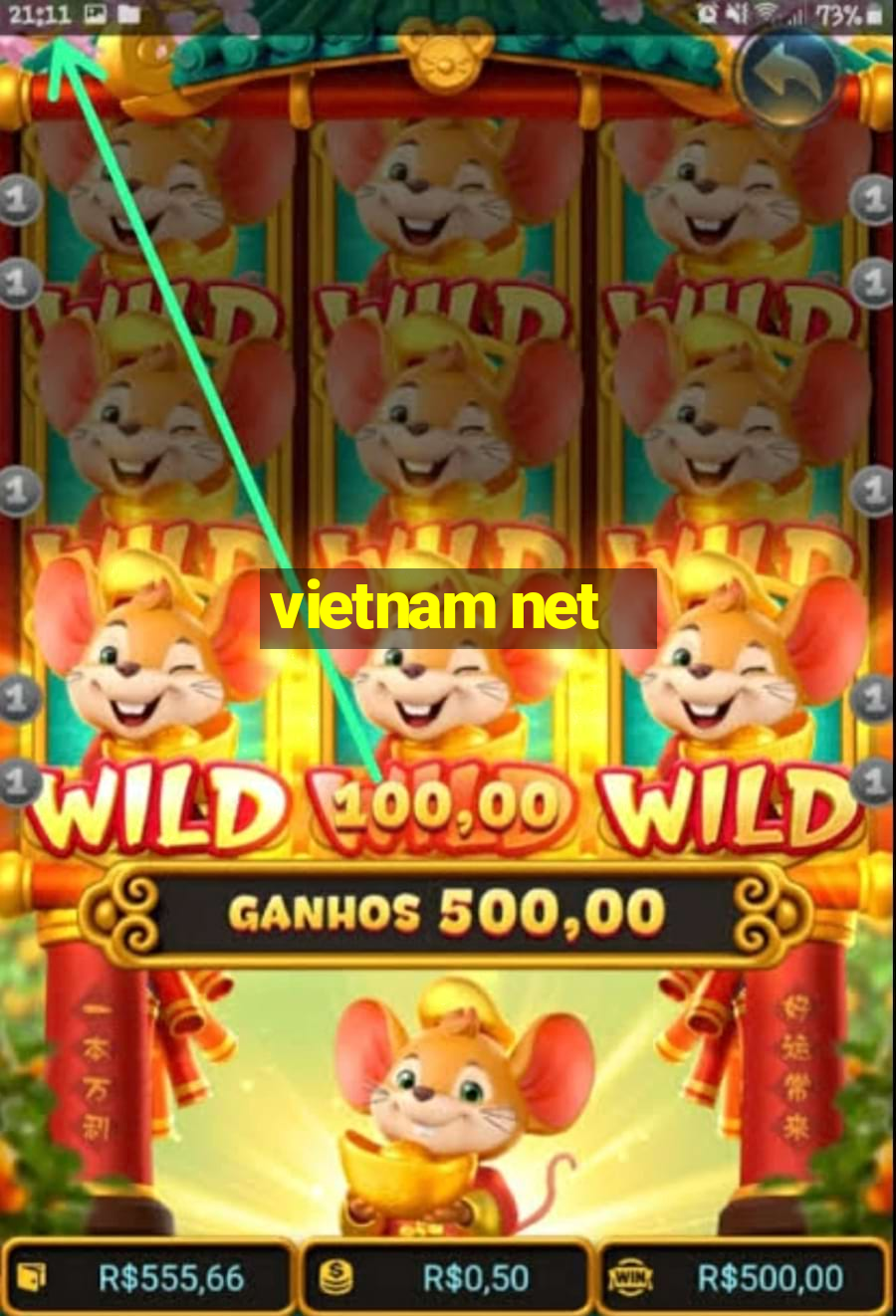 vietnam net