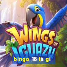 bingo 18 là gì