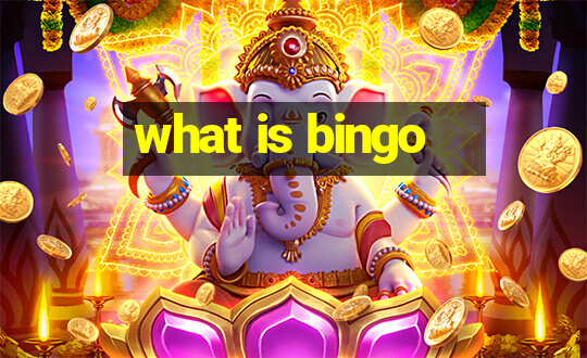 what is bingo