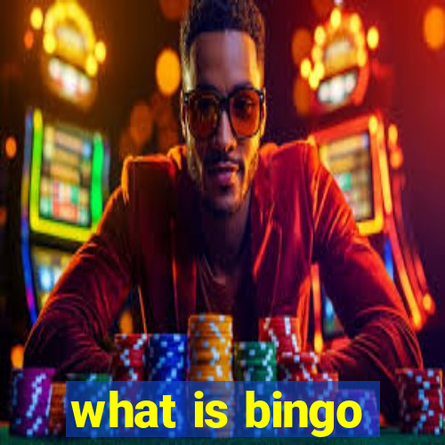 what is bingo