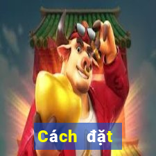 Cách đặt cược XSNT ngày 23