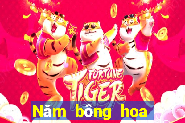 Năm bông hoa vàng ở Thành Đô