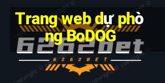 Trang web dự phòng BoDOG