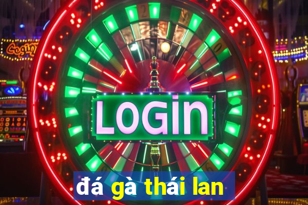 đá gà thái lan