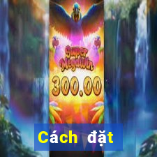 Cách đặt cược XSCM ngày 14