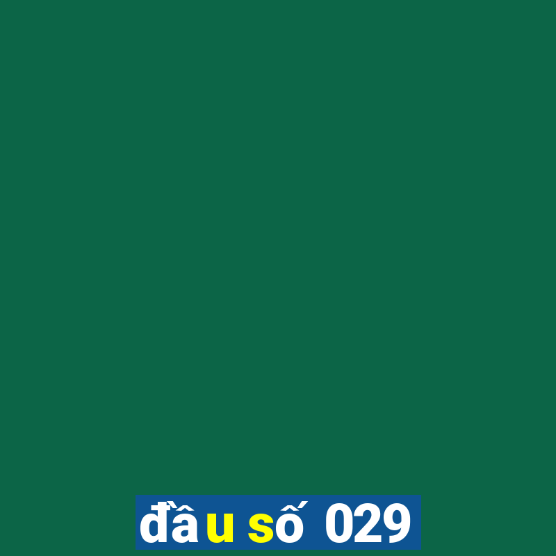 đầu số 029