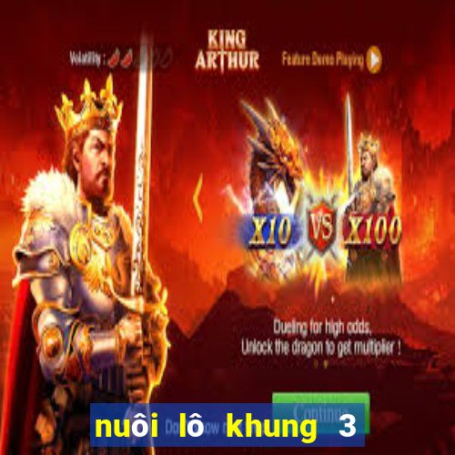 nuôi lô khung 3 ngày chuẩn