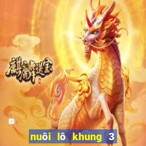 nuôi lô khung 3 ngày chuẩn