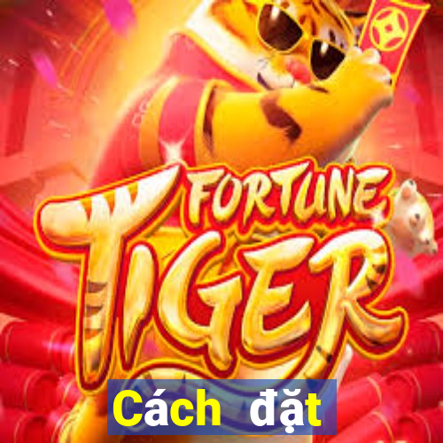 Cách đặt cược XSTT4 ngày 6