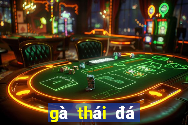 gà thái đá cựa sắt