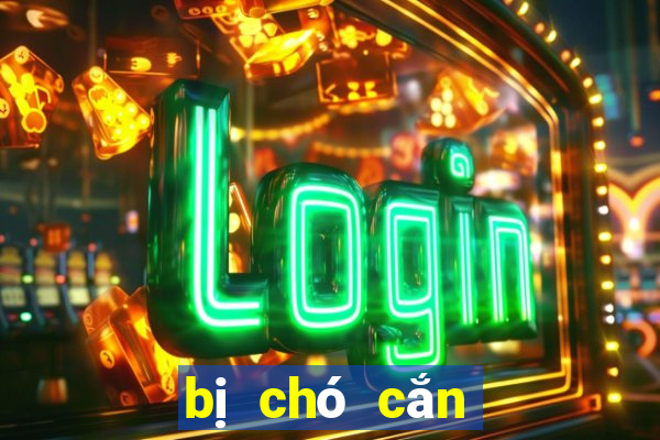 bị chó cắn đánh con gì