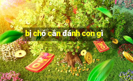 bị chó cắn đánh con gì