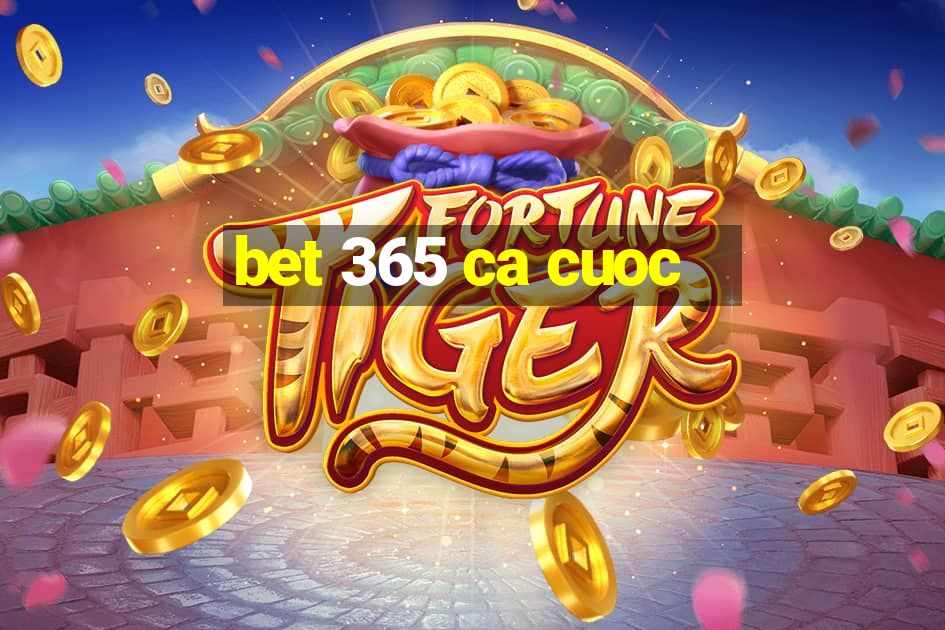 bet 365 ca cuoc