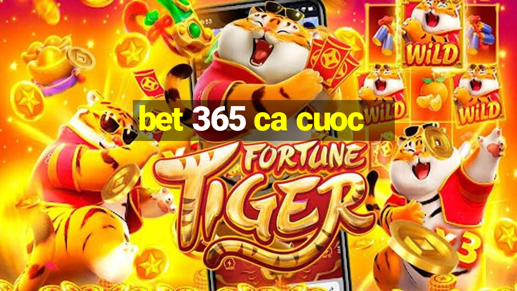 bet 365 ca cuoc