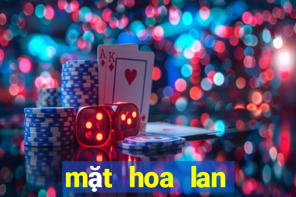 mặt hoa lan bệt ma bó