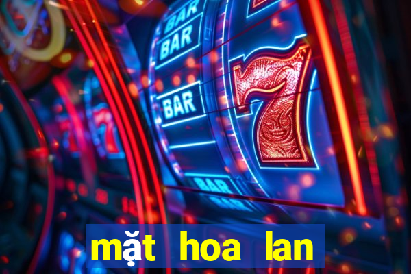 mặt hoa lan bệt ma bó