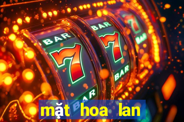 mặt hoa lan bệt ma bó