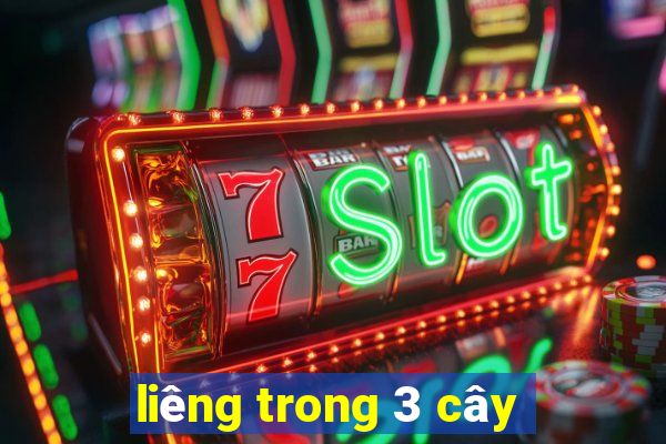 liêng trong 3 cây