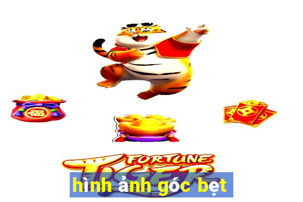 hình ảnh góc bẹt