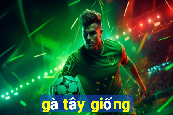 gà tây giống