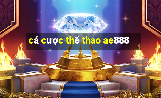 cá cược thể thao ae888