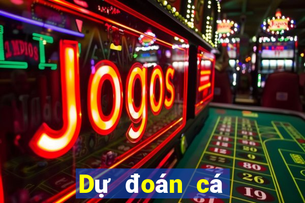 Dự đoán cá cược bóng đá