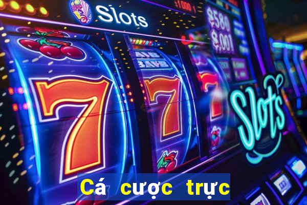 Cá cược trực tuyến v7bet