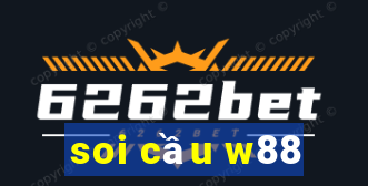 soi cầu w88