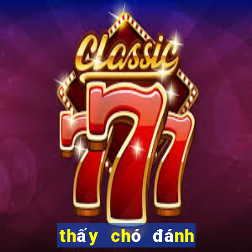 thấy chó đánh con gì