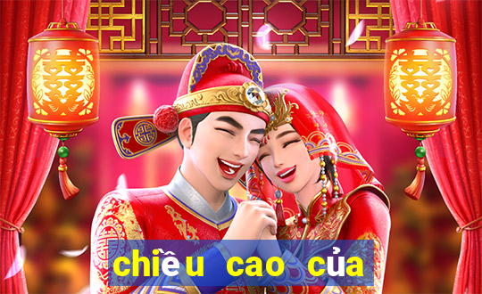 chiều cao của bàn ngồi bệt