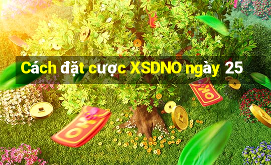 Cách đặt cược XSDNO ngày 25