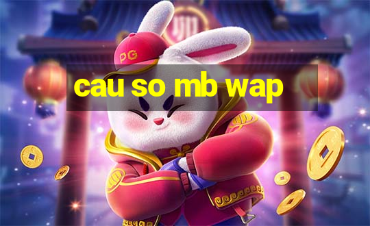 cau so mb wap