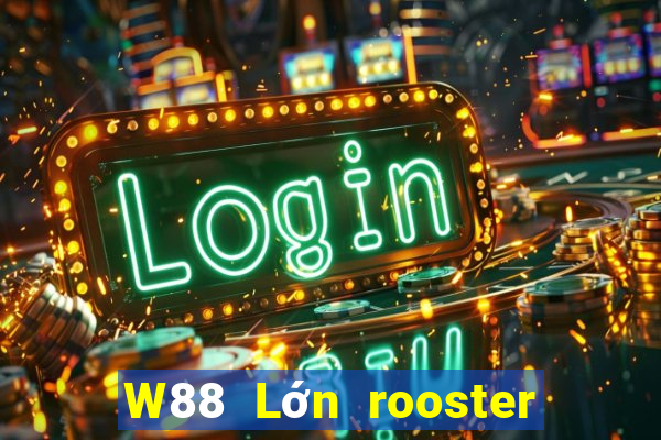 W88 Lớn rooster sắp xếp