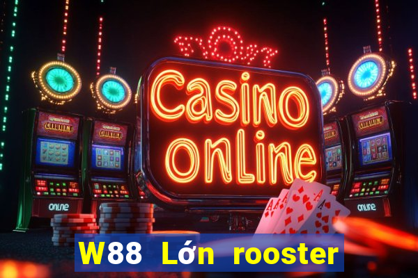 W88 Lớn rooster sắp xếp