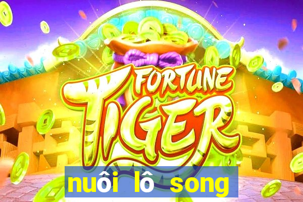 nuôi lô song thủ khung 2ngay