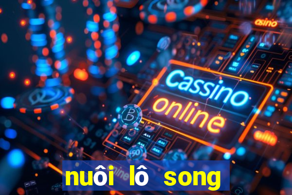 nuôi lô song thủ khung 2ngay