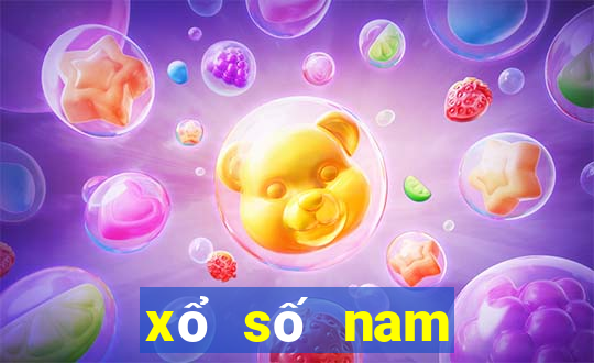 xổ số nam định 30 ngày