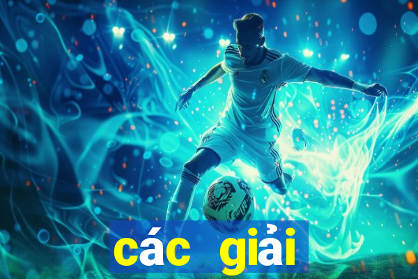 các giải thưởng mà johan cruyff giành được